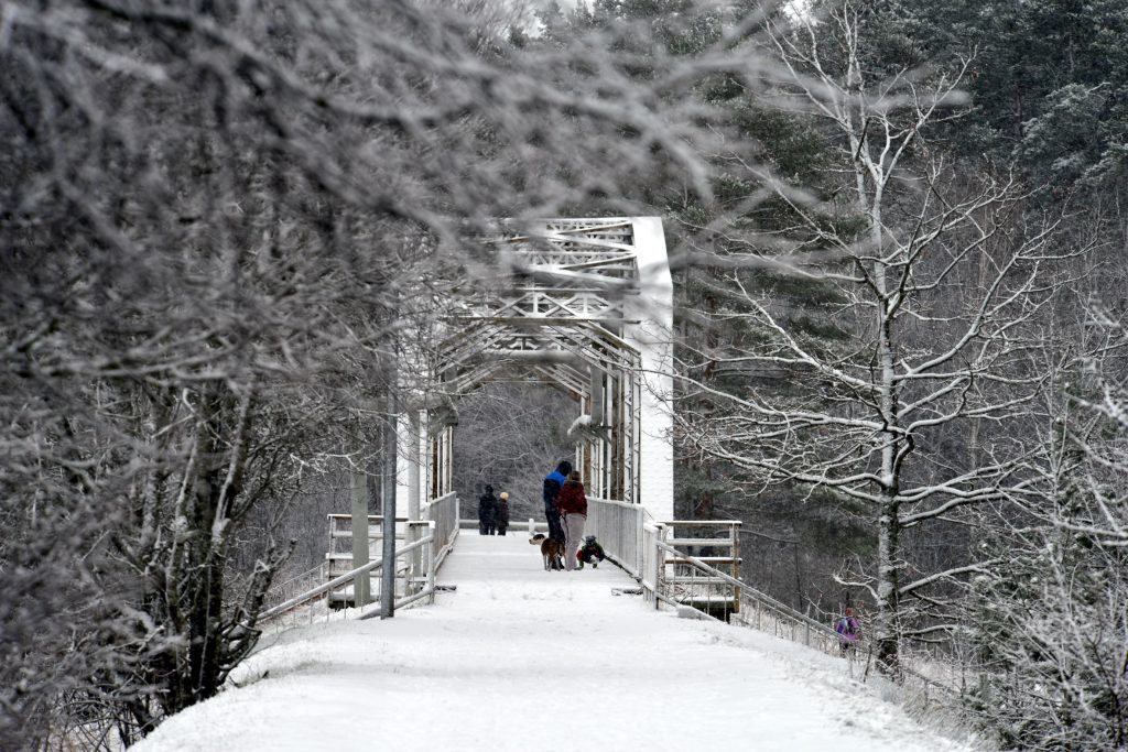 M3 ©Anita Tīlena – Old Narroy-gauge Railway Bridge - LATVIA