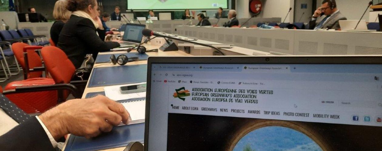 T4T stakeholder event & expert group plenary in Brussels 