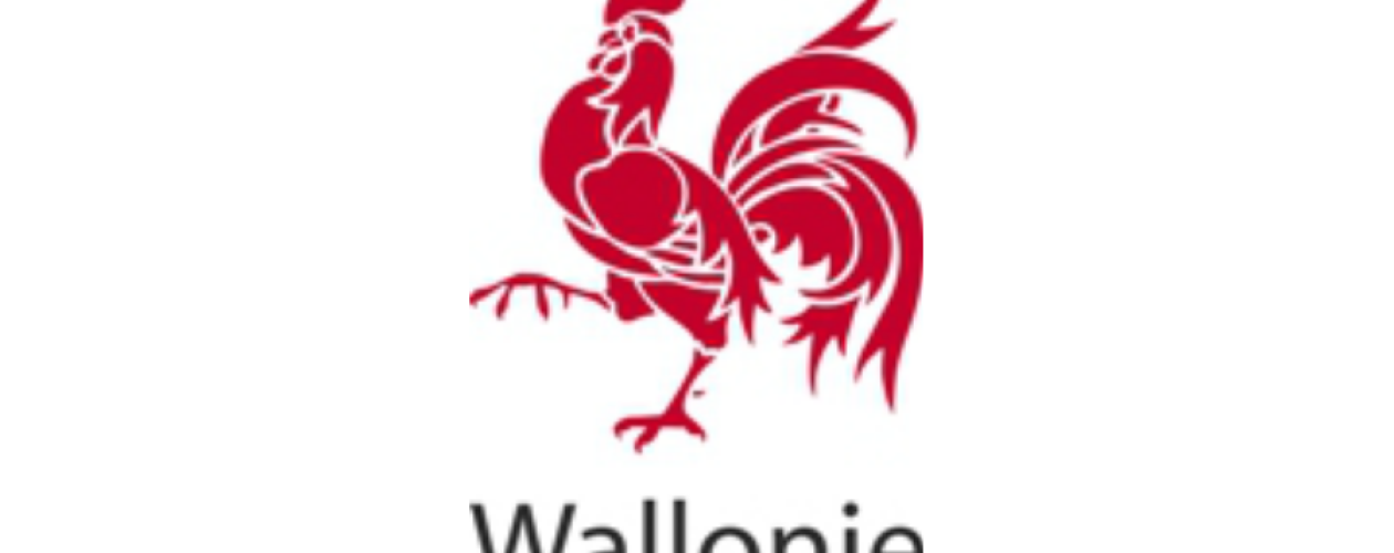 SERVICE PUBLIC DE WALLONIE -MOBILITÉ ET INFRASTRUCTURES