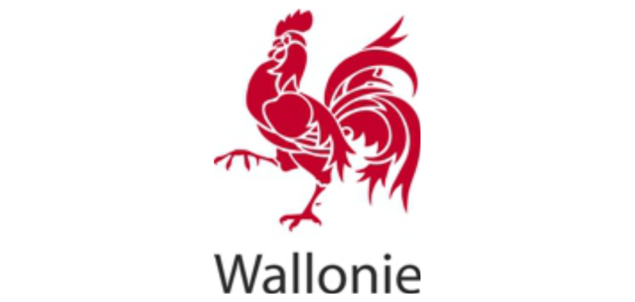 SERVICE PUBLIC DE WALLONIE -MOBILITÉ ET INFRASTRUCTURES