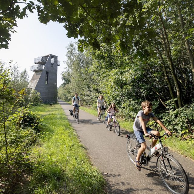 Greenway Bels Lijntje