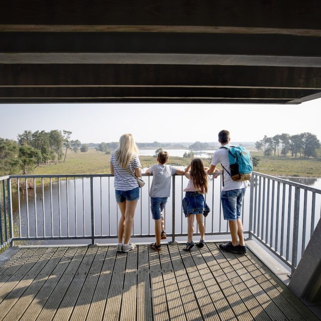 Greenway Bels Lijntje