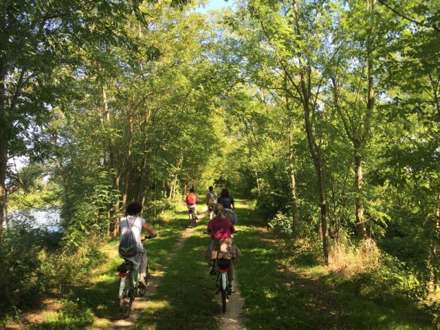 Parenzana Greenway