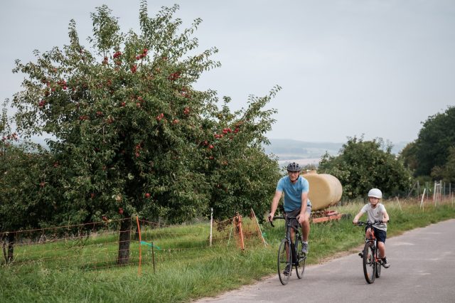 Family cycling on the Velo Pomarium tour in the Moselle region of Luxembourg ©Pancake! Photographie www.visitluxembourg.com