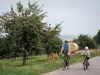 Family cycling on the Velo Pomarium tour in the Moselle region of Luxembourg ©Pancake! Photographie www.visitluxembourg.com
