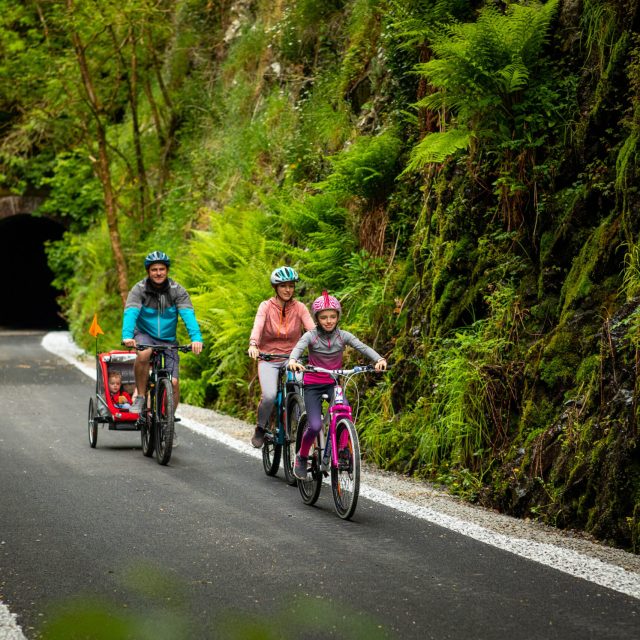 Limerick Greenway / Great Southern Trail