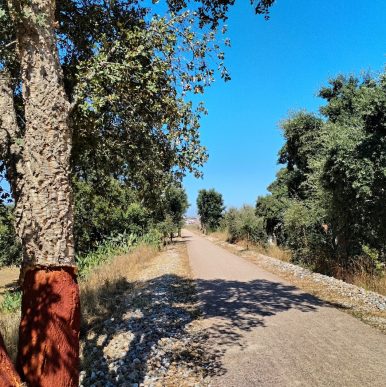Ecopistas in Alentejo Central