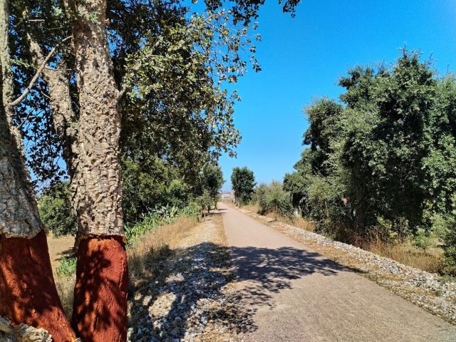 Ecopistas in Alentejo Central