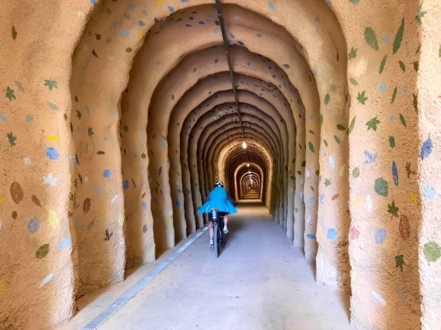 Vasco-Navarro Railway Greenway